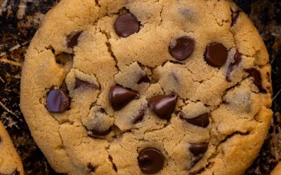 Peanut Butter Chocolate Chip Cookies