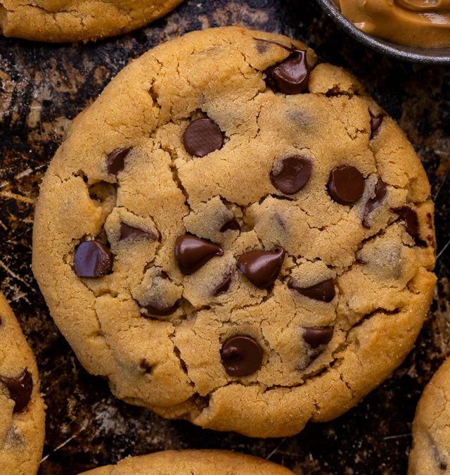 Peanut Butter Chocolate Chip Cookies