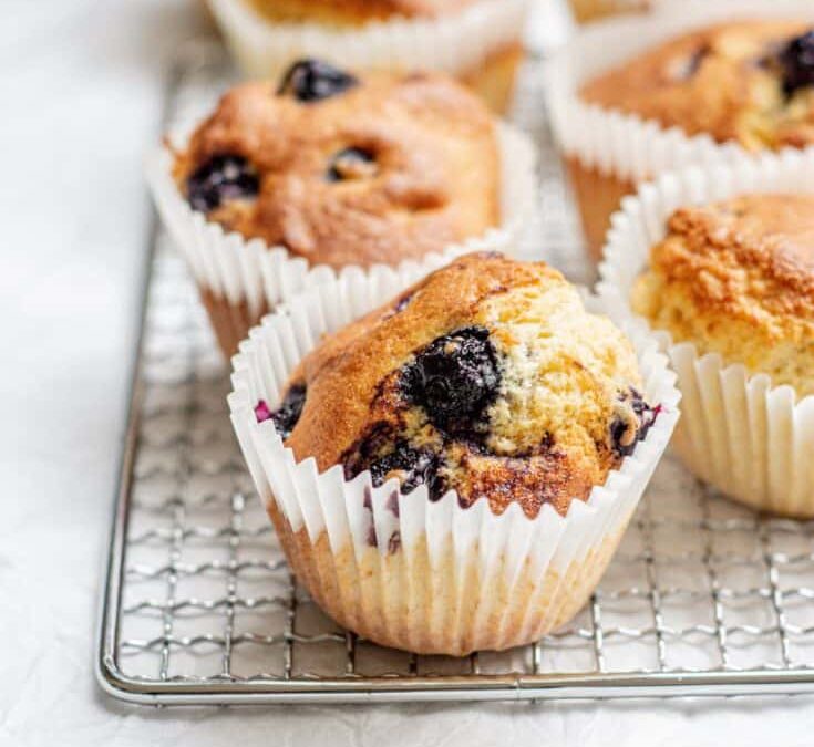 Blueberry Muffins